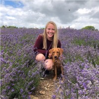 River Software Employee Anna Wiggall's profile photo