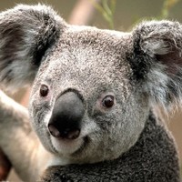 V-v Test Email