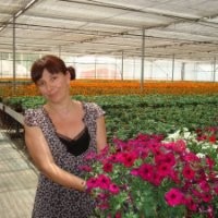 SynTech Research Group Employee Marisé Borja's profile photo