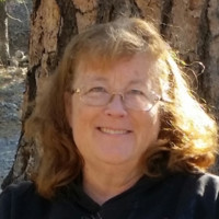 Avail Technologies, Inc. Employee P Dodd's profile photo