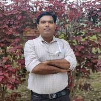 Kumar Maurya Email