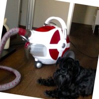 Rossella Rio's profile photo