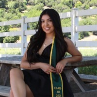 Karina Zamarripa Email