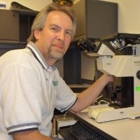 David Stitt Email & Phone Number