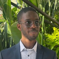 Calscan Solutions Employee Damola Akinola's profile photo
