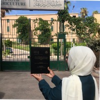 cairochem Employee Rana Abdelshakour's profile photo