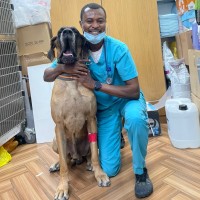 The City Vet Clinic Employee Isaac Darko's profile photo