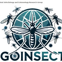 IRD Employee Denis Sereno's profile photo