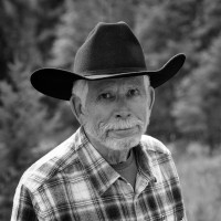 John Peterson Email & Phone Number