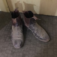 Bentleys SA Employee Tim Siebert's profile photo