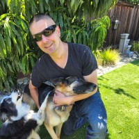 Google Employee Matt A.'s profile photo