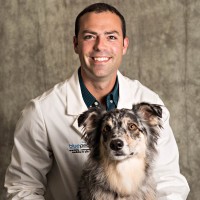 Veterinary Emergency Group Employee Cameron Smart's profile photo
