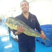 Boston Fish Market Employee Michael Vallone's profile photo