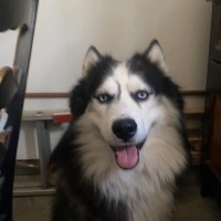 CitiMed Employee Holly K.'s profile photo