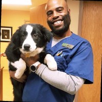 EverVet Employee Damon Waynes's profile photo
