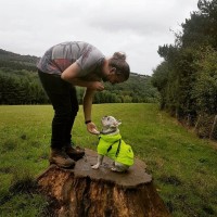 Appy Design Employee Luke Walsh's profile photo