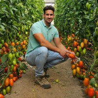 Intersemillas Employee Adrián Pacheco Sánchez's profile photo