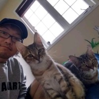 Alan Wong Email & Phone Number