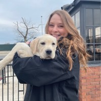 Guide Dog Foundation for the Blind Employee Lorin Bruzzese's profile photo