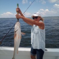 Strack, Inc. Employee Linda Jackson's profile photo