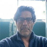 David Falzone Email