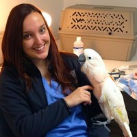 Animal Emergency & Referral Center of Minnesota Employee Alexandra Thell's profile photo