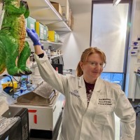 Beth Malachowsky Email & Phone Number