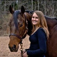 Stack Veterinary Hospital Employee Montanaro Stephenie's profile photo