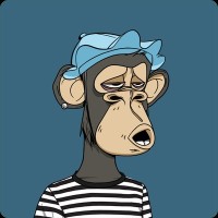 GSR Employee Matt Solomon's profile photo