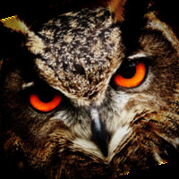 Qube Cinema Employee Rajesh Ramachandran's profile photo