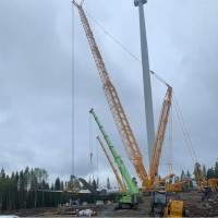 D H Renewables LTD Employee Mick Doogan's profile photo