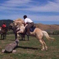 Steve West Email & Phone Number