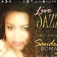 Professional Vocalist/Entertainer Employee Sandra Bomar's profile photo