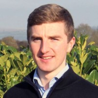 Juddmonte Employee David Walsh's profile photo