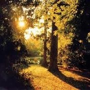 Performance Readiness Solutions, A Group within GP Strategies Employee Kanitra Yvonna's profile photo