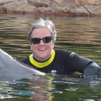 Cruise Planners Employee Jen Henriksen's profile photo
