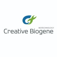 Creative Biogene Employee Wayne Zhang's profile photo