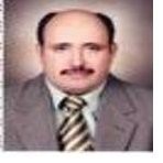 Sadek Almaswary Email & Phone Number