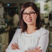 Tam Phuong Email & Phone Number