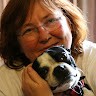 NewTek Employee Lori Bravo's profile photo