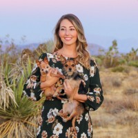 Liz Zajd Email & Phone Number
