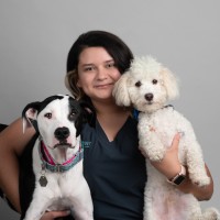 Scout Veterinary Care Employee Yovana Guerrero's profile photo