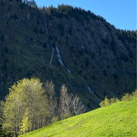 Thomas Royer Email