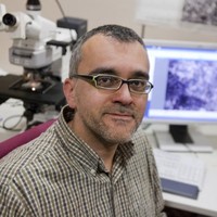 IFAE Employee Josep M. Trigo-Rodríguez's profile photo
