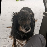 City of London, Canada Employee Steven Holland's profile photo