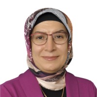 Şule Kökçü Email