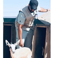National Center for Wildlife Employee Faris Alfaris's profile photo