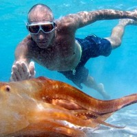 BirthdayComp.com Employee Tom Leeman's profile photo