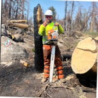 Mario's Tree Service Inc. Employee Greg Atkinson's profile photo