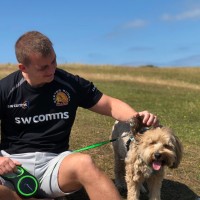 The Arbor School Dubai Employee David Smale's profile photo